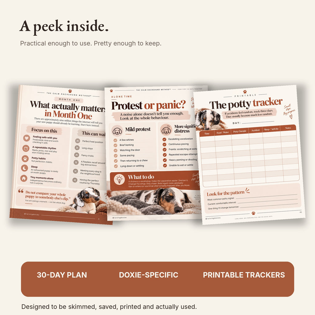Inside preview of The Calm Dachshund Method guide pages