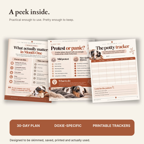 Inside preview of The Calm Dachshund Method guide pages