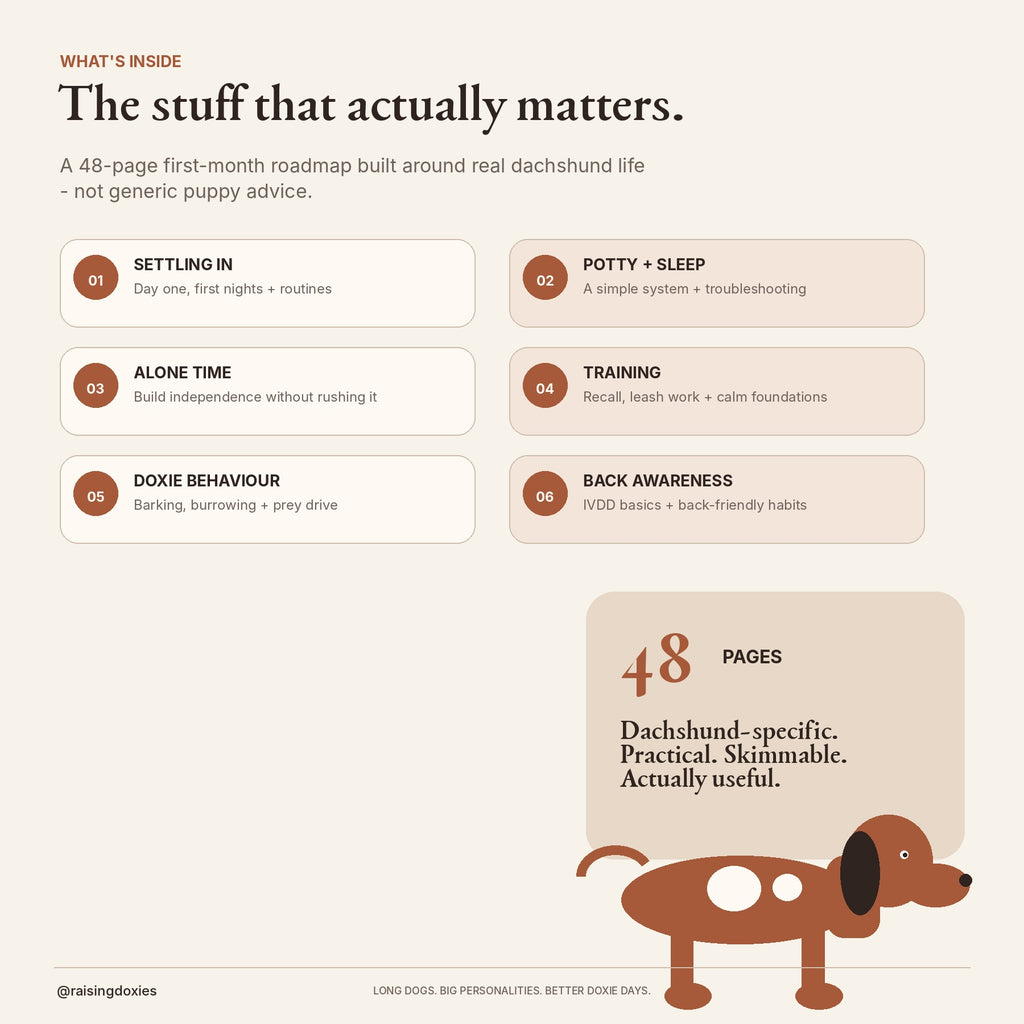 What's inside The Calm Dachshund Method digital guide