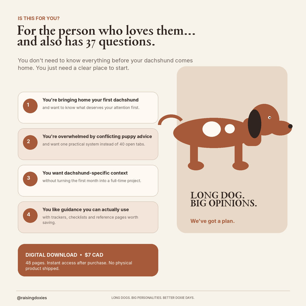 Who The Calm Dachshund Method digital guide is for